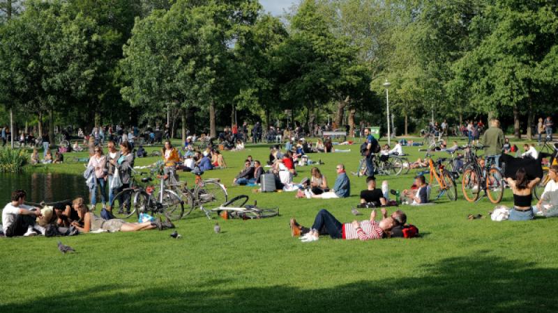 Mensen in het park